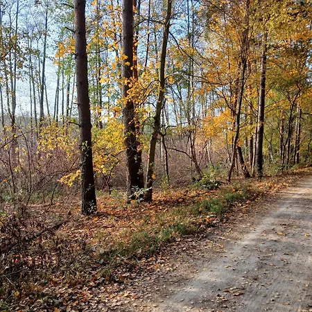 Apartman Zacisze Strzeszyn