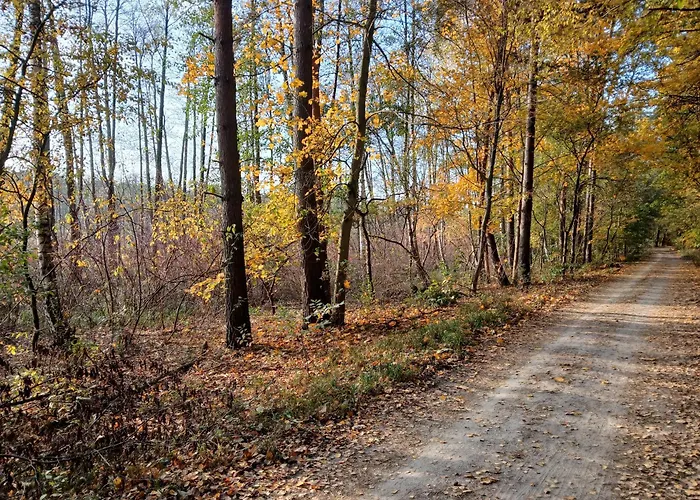 Apartman Zacisze Strzeszyn